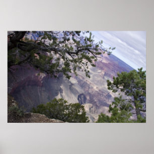 Poster Grand Canyon Vista 14