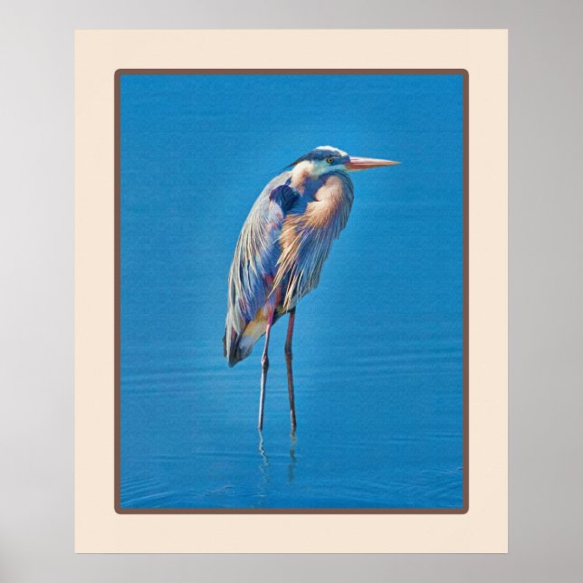 Poster Grand Héron Bleu à l'étang (Devant)