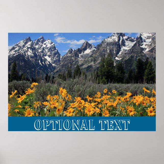 Poster Grand Teton Springtime Souvenir Photo (Devant)
