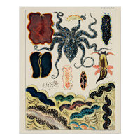 Grande barrière de corail d'Australie