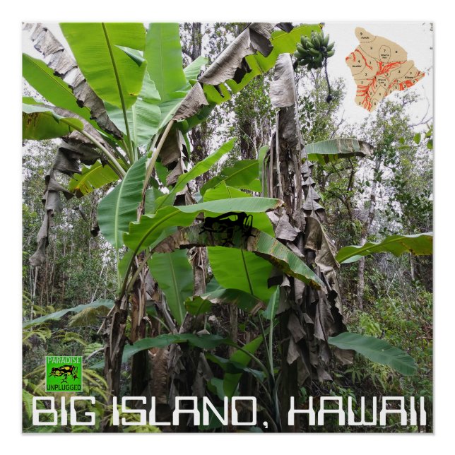 POSTER GRANDE ÎLE HAWAII (Devant)