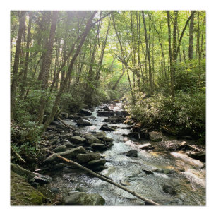 Poster Grande rivière de montagne des Smoky Mountains
