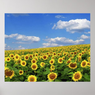 Poster Grandeur_de_Nature_(5)