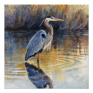 Poster Grands Hérons Bleus Aquarelles de Rivière
