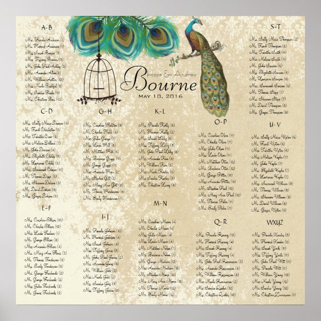 Poster Graphique de placement oiseaux de l'amour vintage  (Devant)