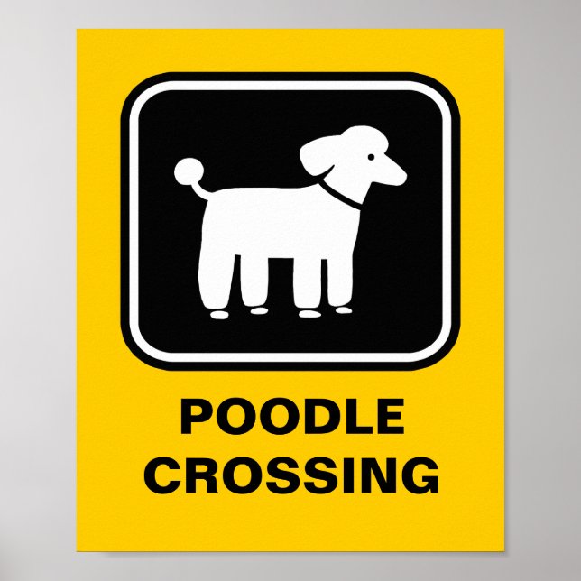 Poster Graphisme Caniche (Blanc sur Noir) (Devant)