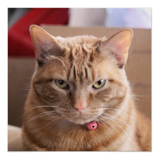 Poster Grave (Devant)