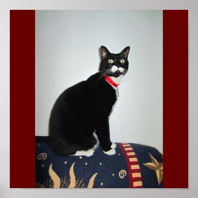 Poster Grave Lucy (Devant)