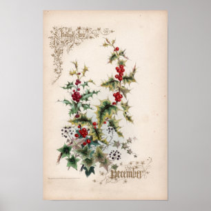 Poster Gravures botaniques, décembre