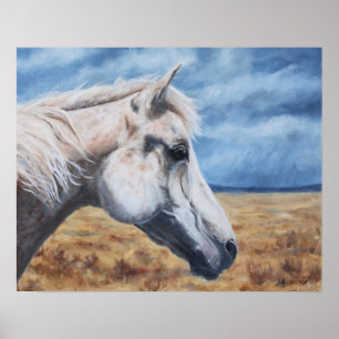 Poster Gray Arabian Horse Art Imprimer