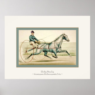 Poster Gray Mare Lucy ~ Art Vintage