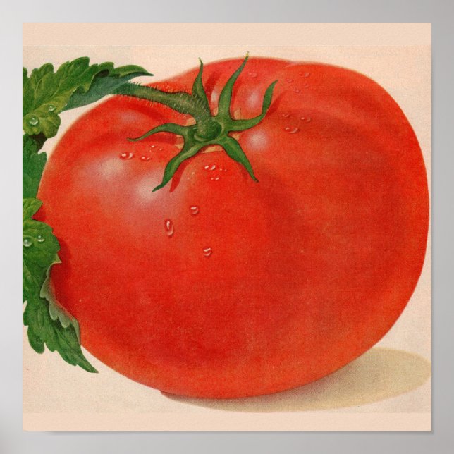 Poster great BIG juicy tomato (Devant)
