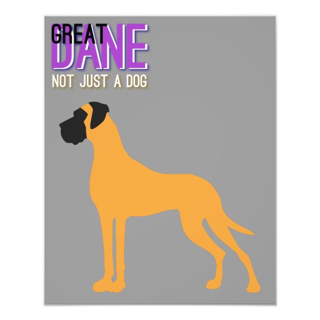Poster Great Dane (Devant)