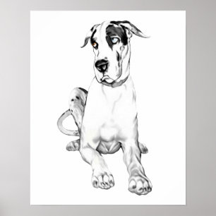 Poster Great dane boudant le harlequin