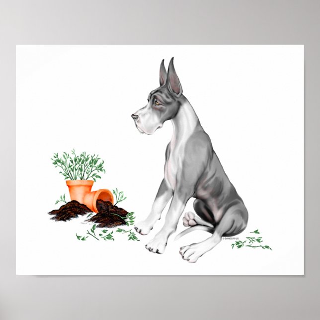 Poster Great Dane Naughty Pup Mantle (Devant)