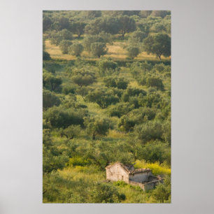 Poster GREECE, Ionian Islands, KEFALONIA, Havriata: