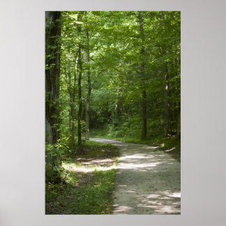 Poster Green Paths 13