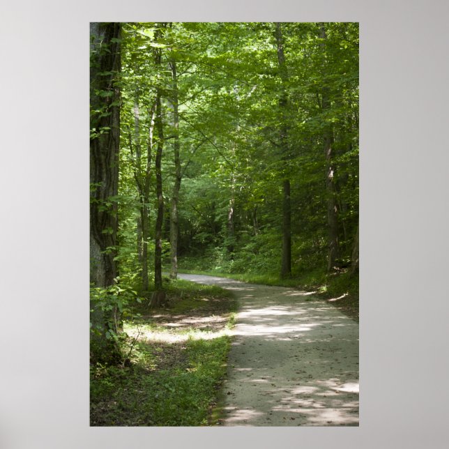 Poster Green Paths 13 (Devant)