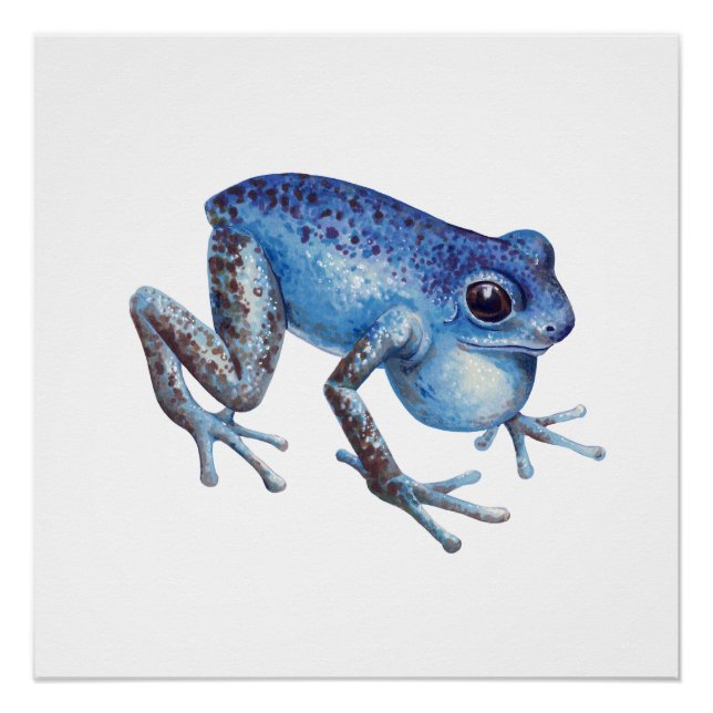 Poster Grenouille à tarte aux fraises (Devant)