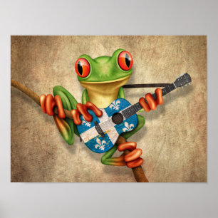 Poster Grenouille arborescente Jouer Guitare du drapeau d