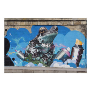 Poster Grenouille cool entre les boîtes de Spray