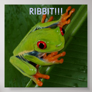 Poster Grenouille-Oeil-Rouge, RIBBIT ! ! !