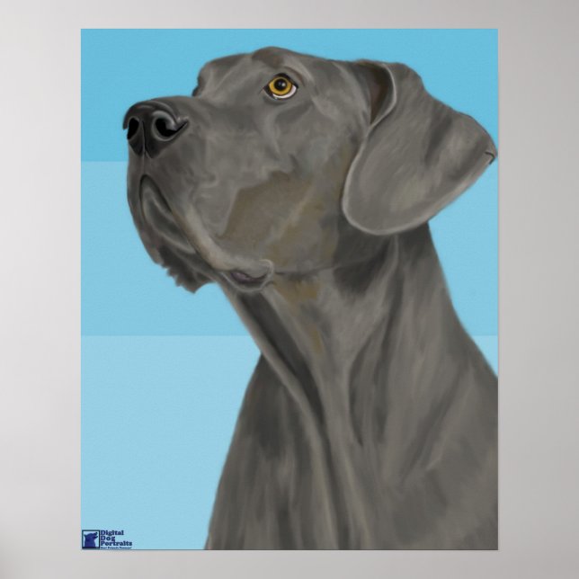 Poster Grey Great Dane regarde vers le haut sur Arrière - (Devant)