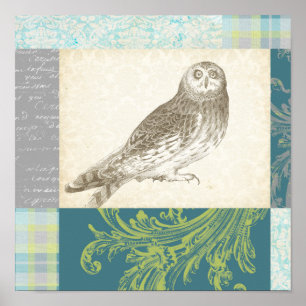 Poster Grey Owl sur Arrière - plan Motif
