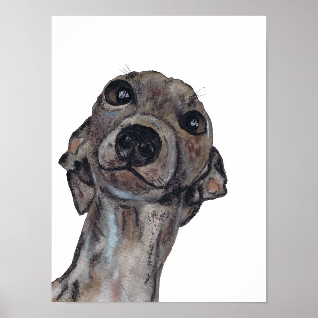 Poster GREYHOUND g909 (Devant)