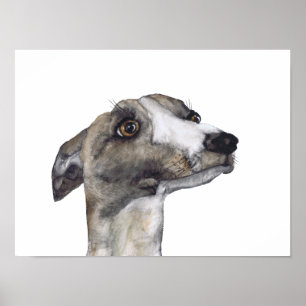 Poster GREYHOUND g918