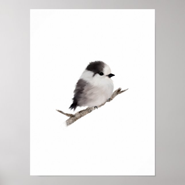Poster Gris Jay Bird Imprimer (Devant)