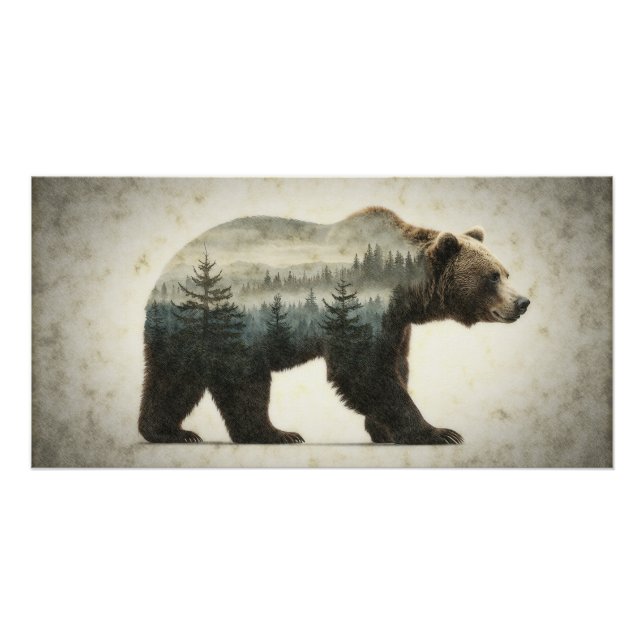 Poster Grizzly Oear Wilderness Art (Devant)