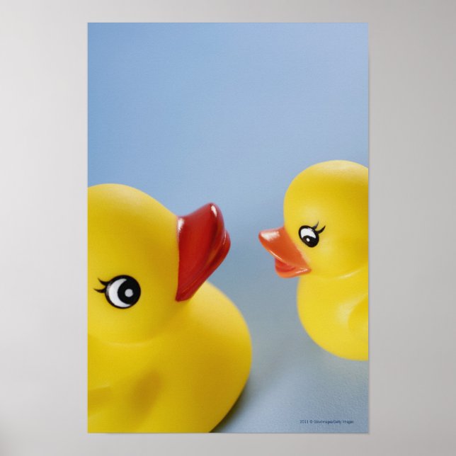 Poster Gros plan de deux canards en caoutchouc (Devant)