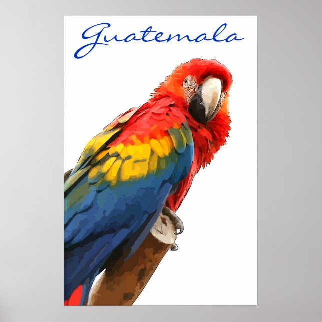 Poster Guatemala Scarlet Macaw (Devant)