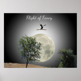 Poster - Gymnases Vol de fantaisie