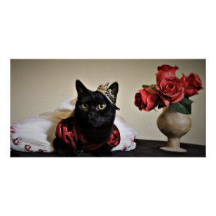 Poster Habillé pour le bal