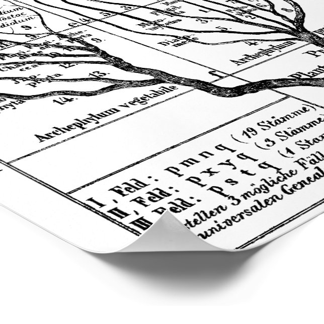 Poster Haeckel Tree of Life (Coin)