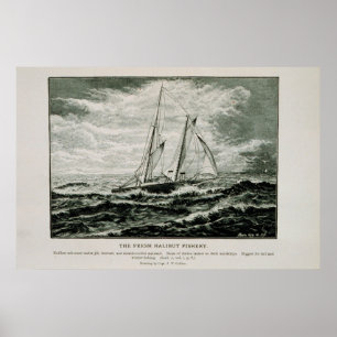 Poster Halibut goélette