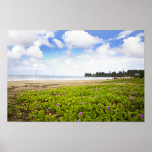 Poster Hanalei Bay, Kauai Hawaii Beach Flowers