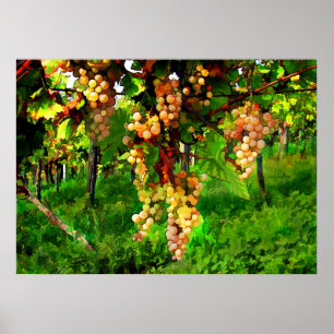 Poster Hanging raisins sur les vignes