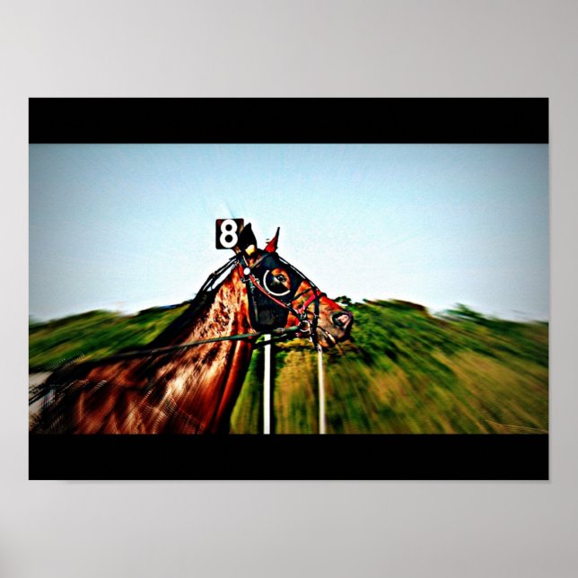 Poster Harness Racing (Devant)