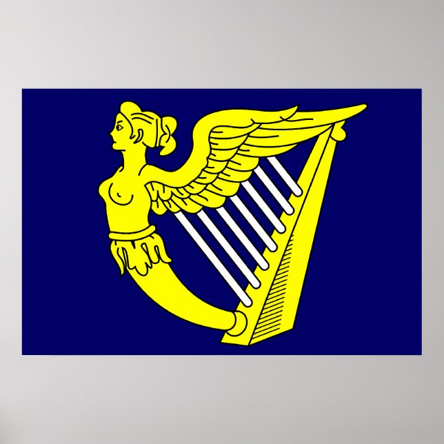 Poster Harpe mousseuse à ailes bleues, drapeau irlandais (Devant)