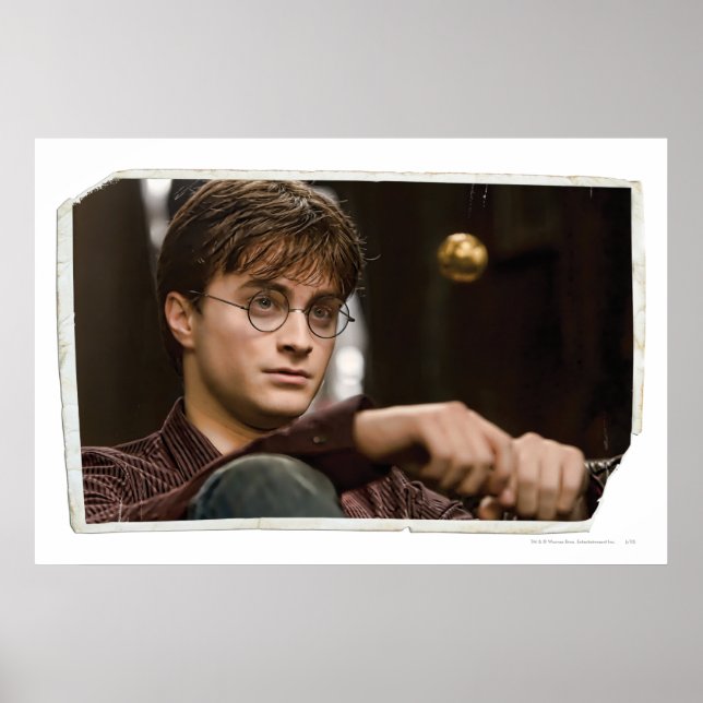 Poster Harry Potter 17 (Devant)