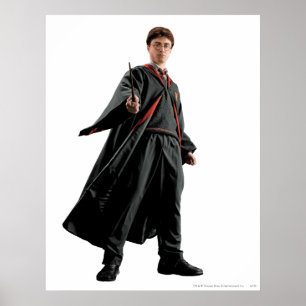 Poster Harry Potter À La Tête