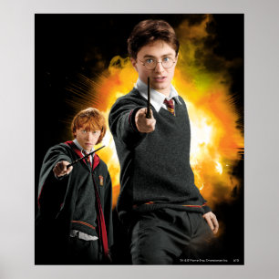 Poster Harry Potter et Ron Weasely