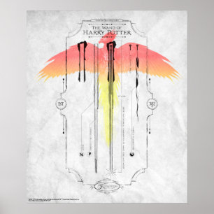 Poster Harry Potter Spell   Harry's Wand Infographic