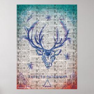 Poster Harry Potter Spell PATRONUM™Esquisse de stade