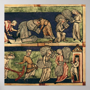 Poster Harvard, École du Rhin