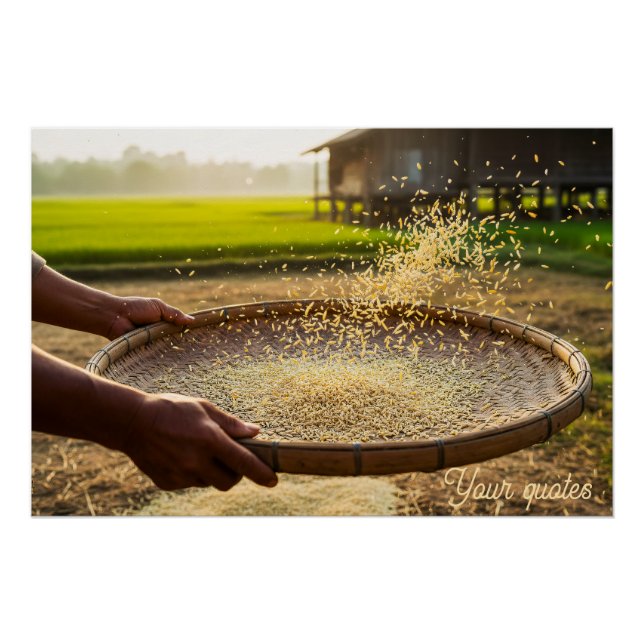 Poster Harvest Grain, Rice Field (Devant)