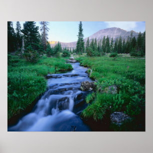 Poster HAUTE SAUVAGE DE L'UINTAS, UTAH. Forêt de Stillwa